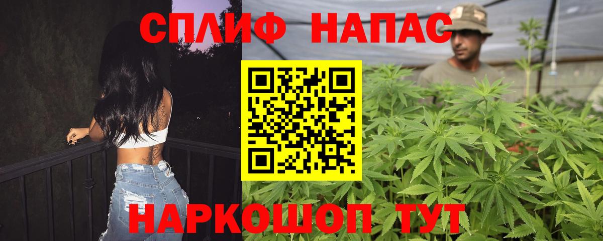 МАРИХУАНА планчик  Бошки марихуана White Widow  Сертолово  Вход с VPN 